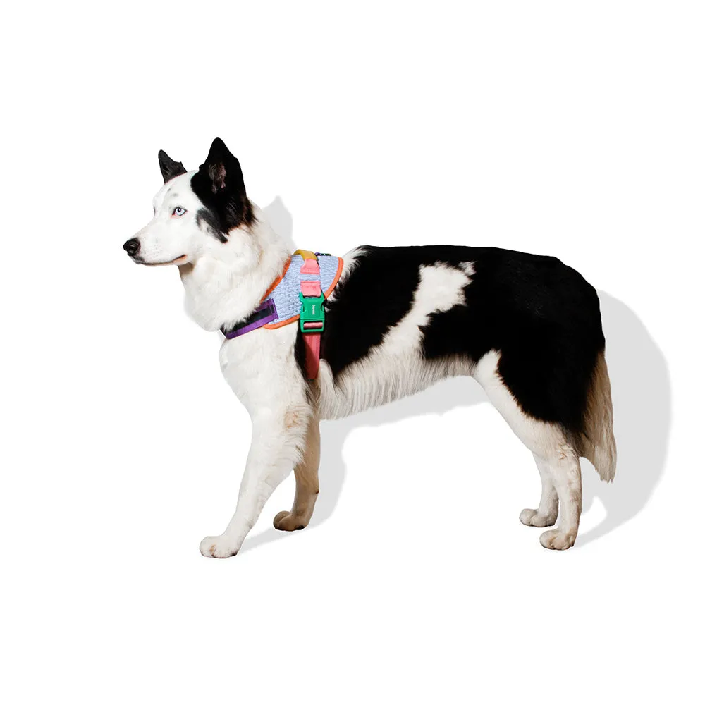 Zee.Dog FlyHarness Galaxy Size 2